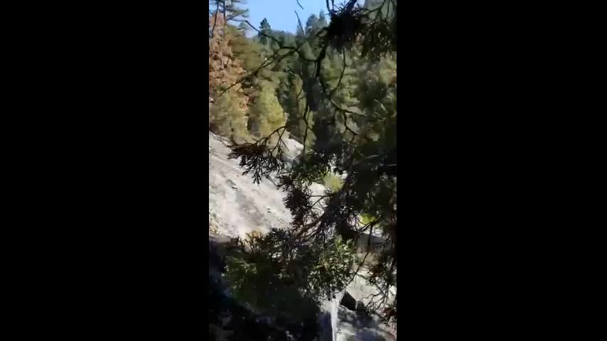 Pakistan Forest Fuck