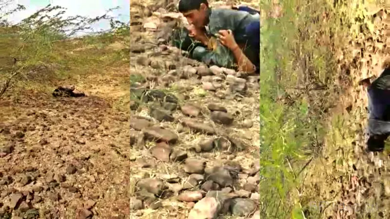 Village Girl Fucked In Open By Local Guys