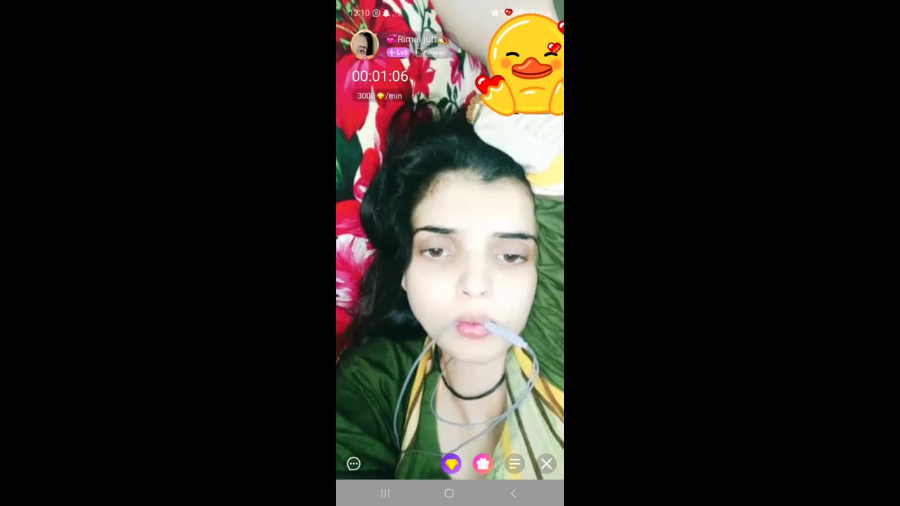 Myd-max-Chamet-Premium-Collection–12262024-322