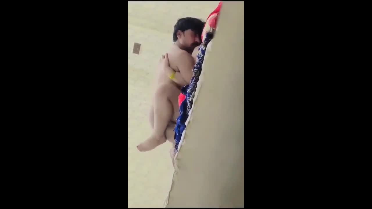 Myd pk video collection 15202556